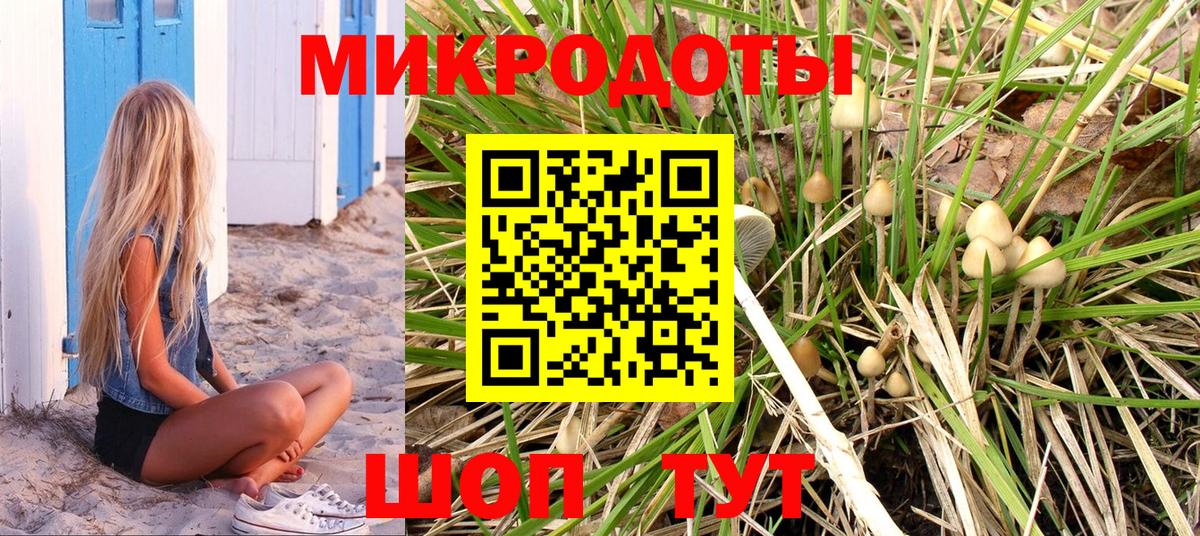 Псилоцибиновые грибы GOLDEN TEACHER  Вход с VPN  Похвистнево 